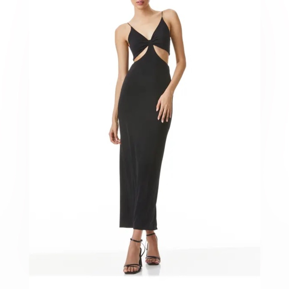 NWT-Alice and Olivia Havana Side Cutout Maxi Dress Sz 6